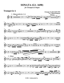 sonata g1