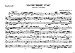 концертный этюд