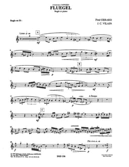 fluegel