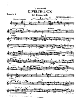 divertimento