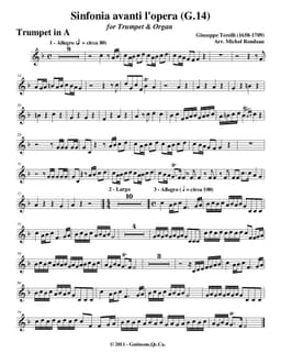 sinfonia g14