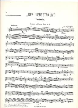 der liebestraum fantasia